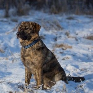 Meet your Posher, Jodi